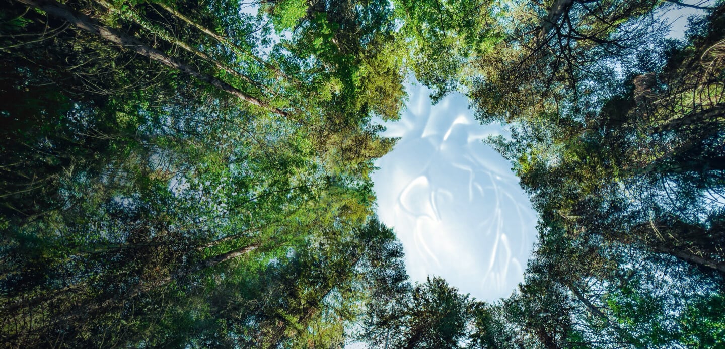 Key Visual Sustainability at Bayer in Radiology – Heart